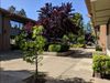 20370 photo
